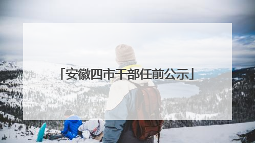 安徽四市干部任前公示