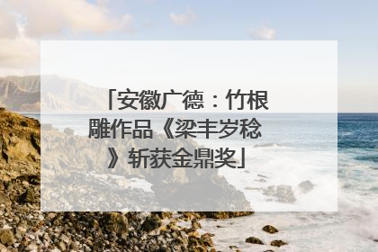 安徽广德：竹根雕作品《梁丰岁稔》斩获金鼎奖