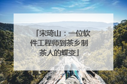 宋琦山：一位软件工程师到茶乡制茶人的蝶变