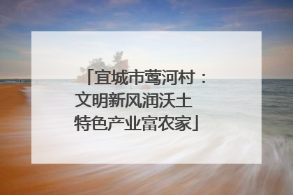 宜城市莺河村：文明新风润沃土 特色产业富农家