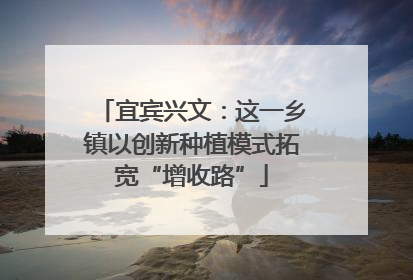 宜宾兴文：这一乡镇以创新种植模式拓宽“增收路”
