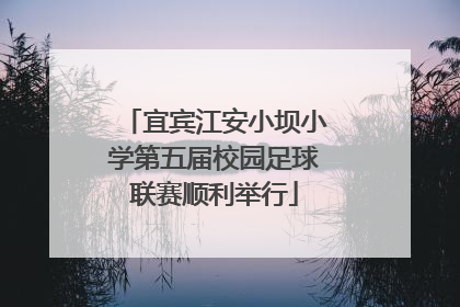 宜宾江安小坝小学第五届校园足球联赛顺利举行