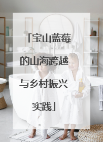宝山蓝莓的山海跨越与乡村振兴实践