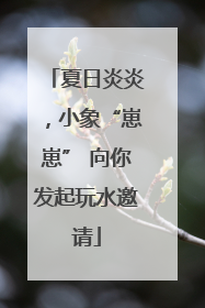 夏日炎炎，小象“崽崽” 向你发起玩水邀请