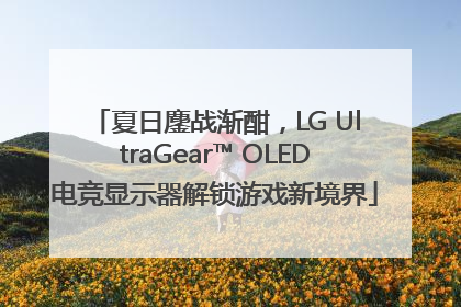 夏日鏖战渐酣，LG UltraGear™ OLED电竞显示器解锁游戏新境界