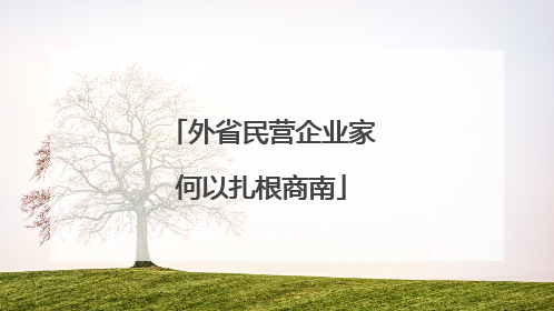 外省民营企业家何以扎根商南