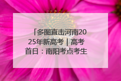 多图直击河南2025年新高考｜高考首日：南阳考点考生信心满满迎战