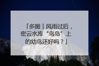 多图｜风雨过后，密云水库“鸟岛”上的幼鸟还好吗？