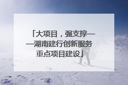 大项目，强支撑——湖南建行创新服务重点项目建设