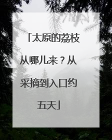 太原的荔枝从哪儿来？从采摘到入口约五天