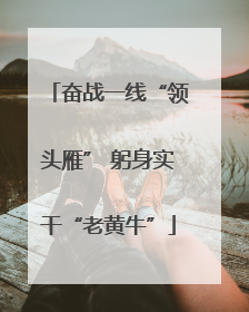 奋战一线“领头雁” 躬身实干“老黄牛”