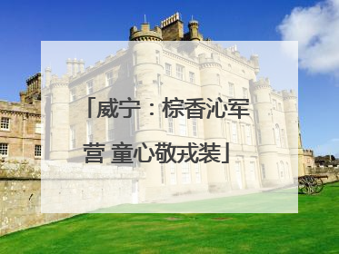 威宁：棕香沁军营 童心敬戎装