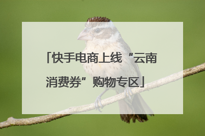 快手电商上线“云南消费券”购物专区