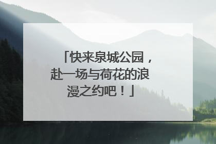快来泉城公园，赴一场与荷花的浪漫之约吧！