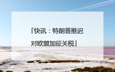 快讯：特朗普推迟对欧盟加征关税