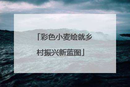 彩色小麦绘就乡村振兴新蓝图