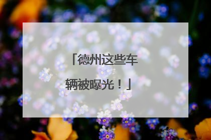 德州这些车辆被曝光！