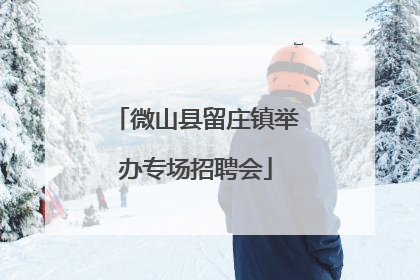 微山县留庄镇举办专场招聘会