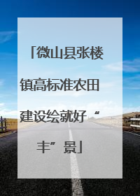 微山县张楼镇高标准农田建设绘就好“丰”景