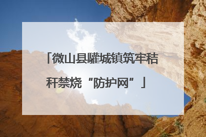 微山县驩城镇筑牢秸秆禁烧“防护网”