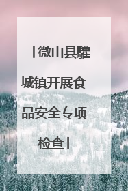 微山县驩城镇开展食品安全专项检查