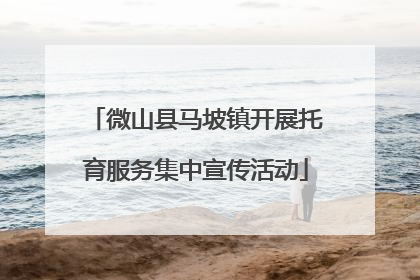 微山县马坡镇开展托育服务集中宣传活动