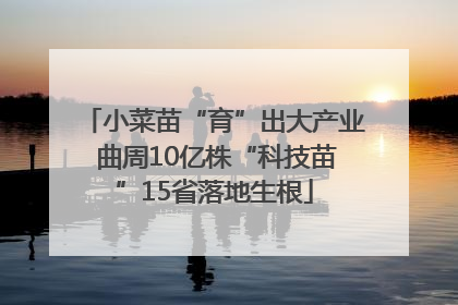 小菜苗“育”出大产业 曲周10亿株“科技苗”15省落地生根