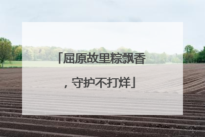 屈原故里粽飘香，守护不打烊
