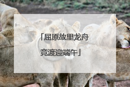 屈原故里龙舟竞渡迎端午