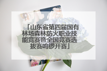 山东省第四届国有林场森林防火职业技能竞赛暨全国竞赛选拔赛鸣锣开赛