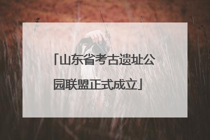 山东省考古遗址公园联盟正式成立