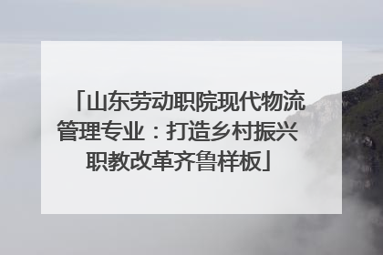 山东劳动职院现代物流管理专业：打造乡村振兴职教改革齐鲁样板