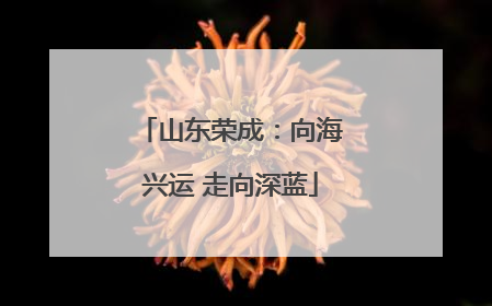 山东荣成：向海兴运 走向深蓝