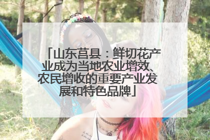 山东莒县：鲜切花产业成为当地农业增效、农民增收的重要产业发展和特色品牌