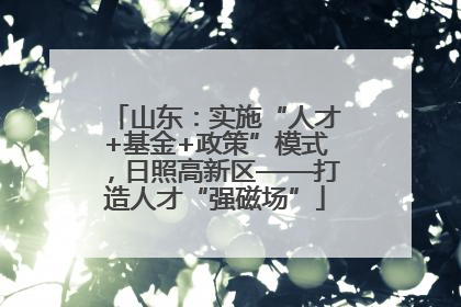 山东：实施“人才+基金+政策”模式，日照高新区——打造人才“强磁场”