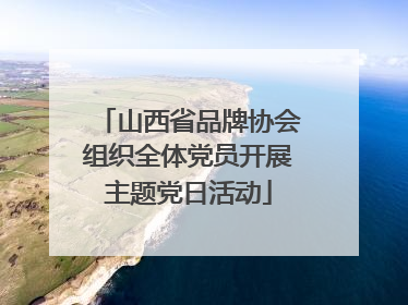 山西省品牌协会组织全体党员开展主题党日活动