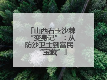 山西右玉沙棘“变身记”：从防沙卫士到富民“宝藏”