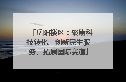 岳阳楼区：聚焦科技转化、创新民生服务、拓展国际赛道
