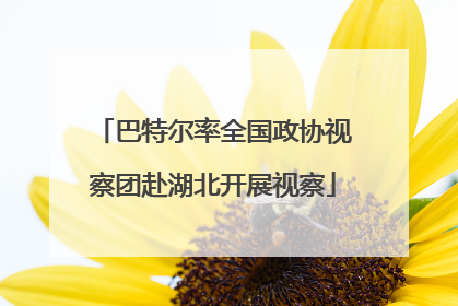 巴特尔率全国政协视察团赴湖北开展视察