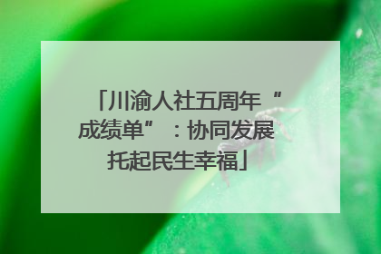 川渝人社五周年“成绩单”：协同发展托起民生幸福