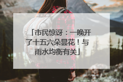 市民惊讶：一晚开了十五六朵昙花！与雨水均衡有关