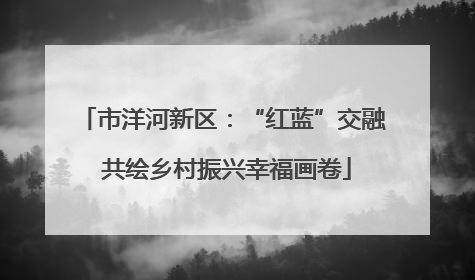 市洋河新区：“红蓝”交融 共绘乡村振兴幸福画卷