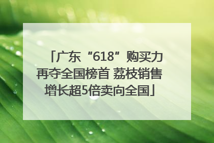 广东“618”购买力再夺全国榜首 荔枝销售增长超5倍卖向全国