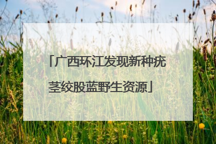 广西环江发现新种疣茎绞股蓝野生资源