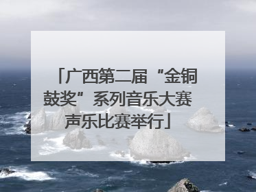 广西第二届“金铜鼓奖”系列音乐大赛声乐比赛举行