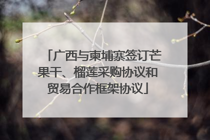 广西与柬埔寨签订芒果干、榴莲采购协议和贸易合作框架协议