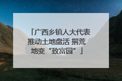 广西乡镇人大代表推动土地盘活 撂荒地变“致富园”