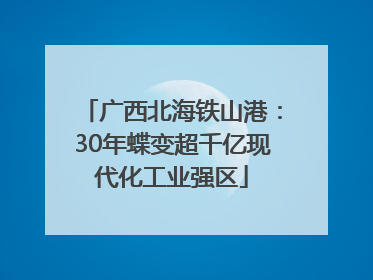 广西北海铁山港：30年蝶变超千亿现代化工业强区
