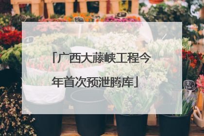 广西大藤峡工程今年首次预泄腾库