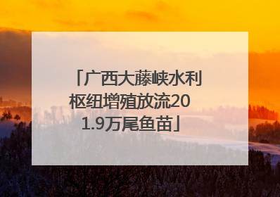 广西大藤峡水利枢纽增殖放流201.9万尾鱼苗